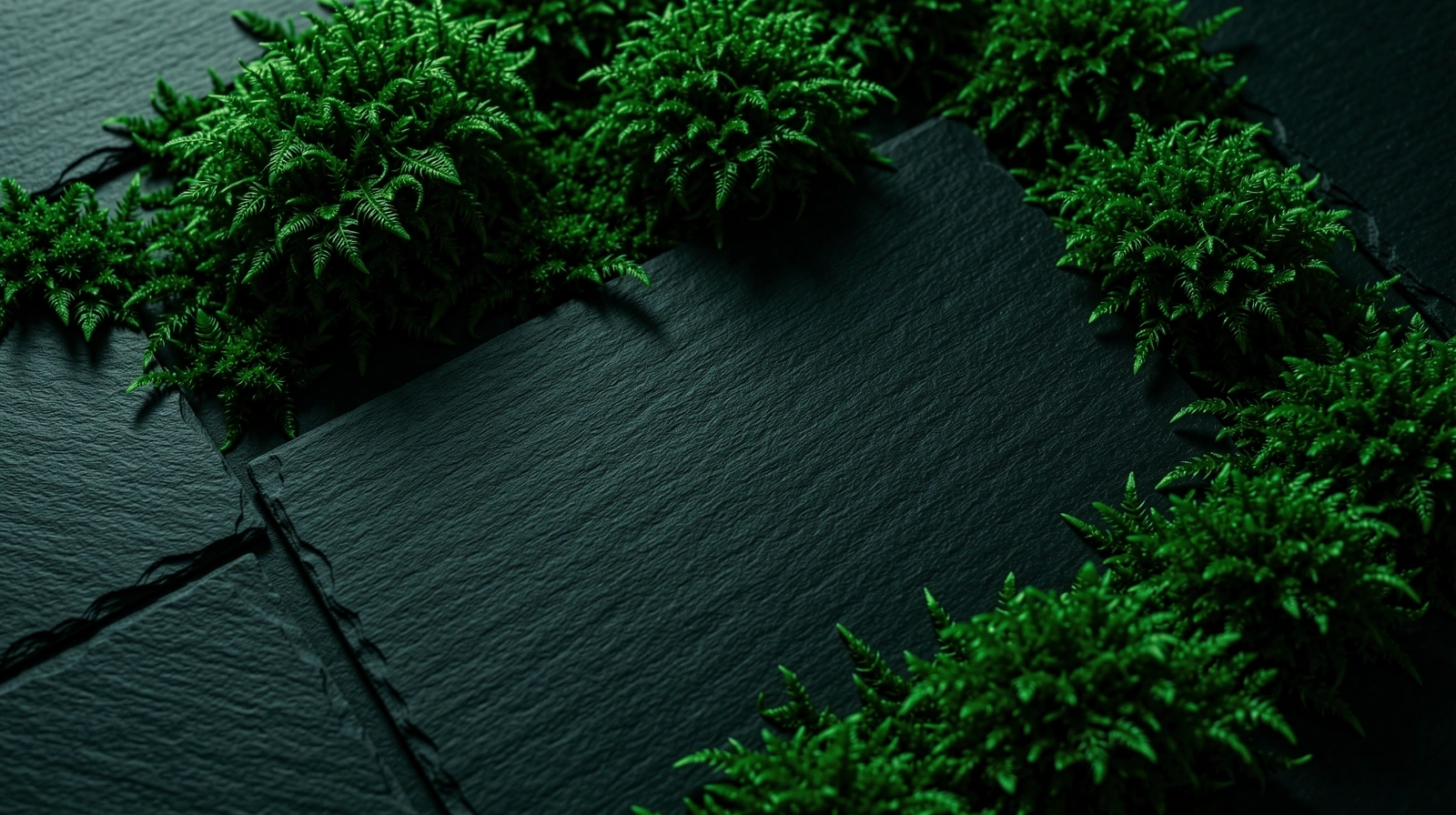 Textured stone and moss background